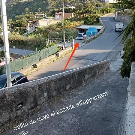 Tarinuzza * ليباري